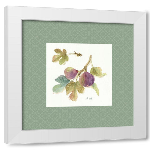 Orchard Bloom III Border White Modern Wood Framed Art Print by Audit, Lisa