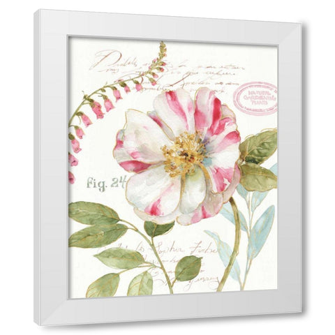 Rainbow Seeds Botanical II White Modern Wood Framed Art Print by Audit, Lisa