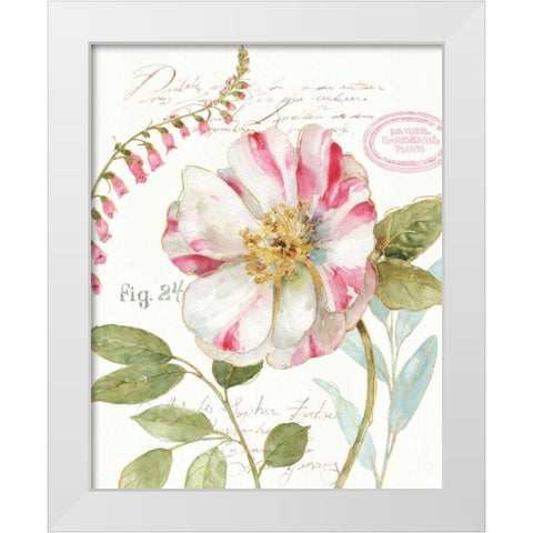 Rainbow Seeds Botanical II White Modern Wood Framed Art Print by Audit, Lisa