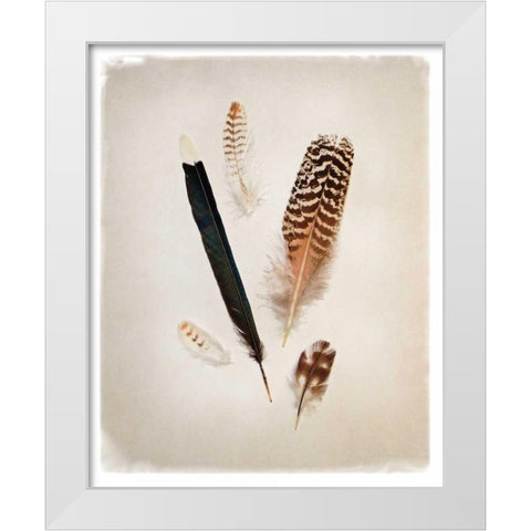 Feather Group II White Modern Wood Framed Art Print by Van Swearingen, Debra