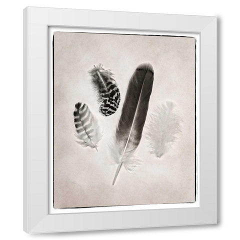 Feather Group I BW White Modern Wood Framed Art Print by Van Swearingen, Debra