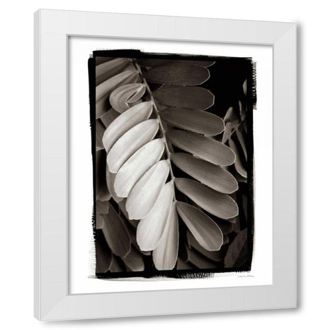 Tropical Plant I White Modern Wood Framed Art Print by Debra, Van Swearingen