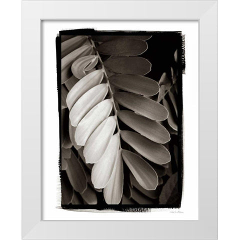 Tropical Plant I White Modern Wood Framed Art Print by Debra, Van Swearingen