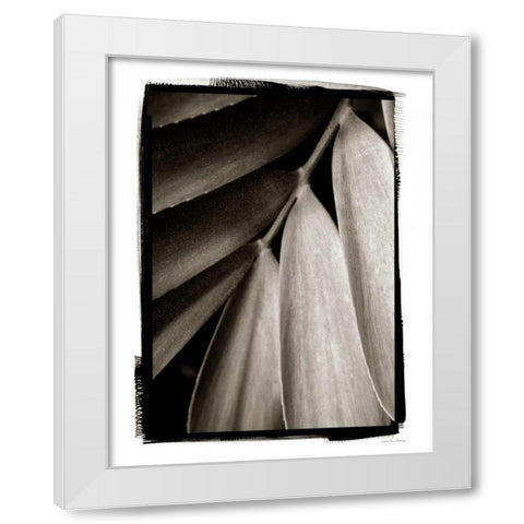 Tropical Plant II White Modern Wood Framed Art Print by Debra, Van Swearingen