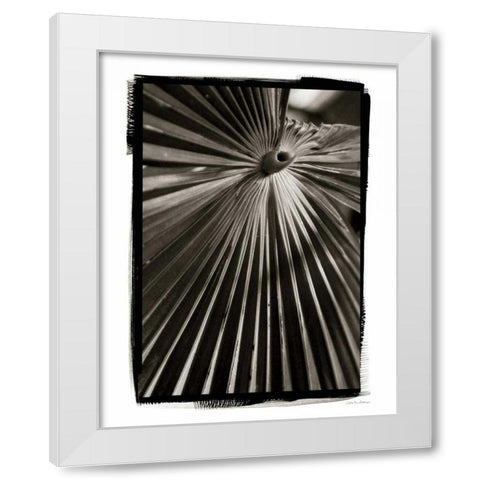 Palm Frond I White Modern Wood Framed Art Print by Debra, Van Swearingen