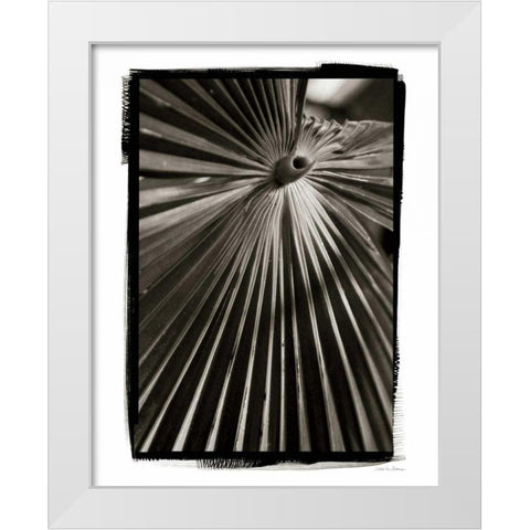 Palm Frond I White Modern Wood Framed Art Print by Debra, Van Swearingen