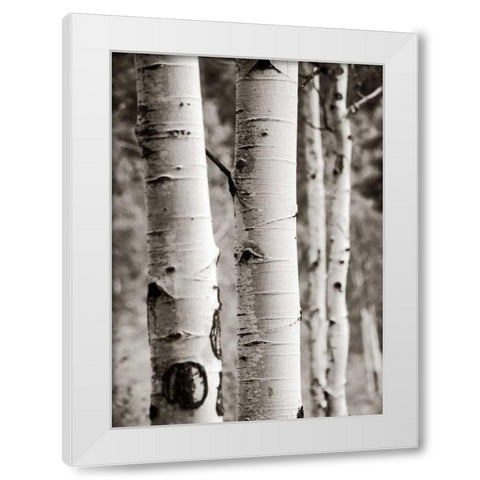 Aspens I White Modern Wood Framed Art Print by Van Swearingen, Debra