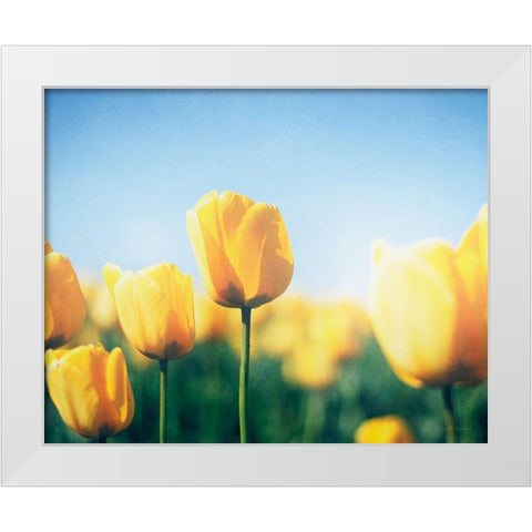 Sunny Blooms III White Modern Wood Framed Art Print by Urquhart, Elizabeth