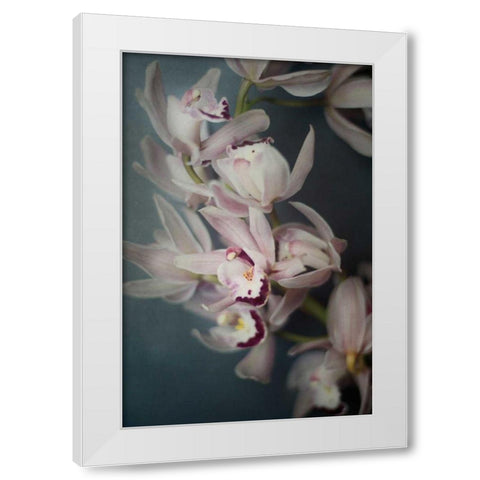 Dark Orchid I White Modern Wood Framed Art Print by Urquhart, Elizabeth