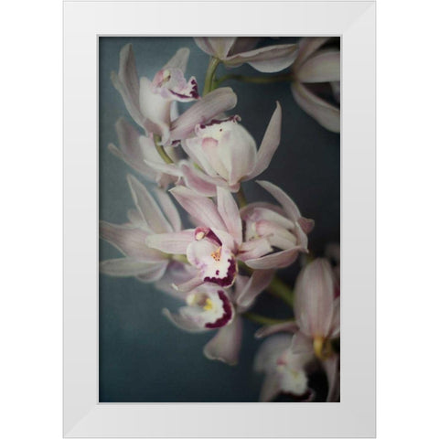 Dark Orchid I White Modern Wood Framed Art Print by Urquhart, Elizabeth