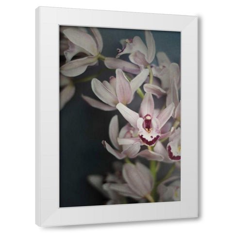 Dark Orchid II White Modern Wood Framed Art Print by Urquhart, Elizabeth