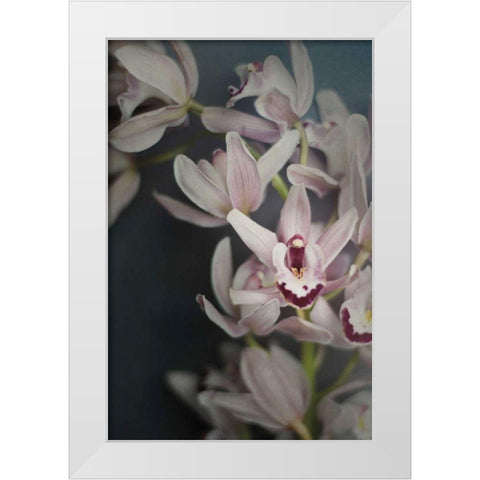 Dark Orchid II White Modern Wood Framed Art Print by Urquhart, Elizabeth