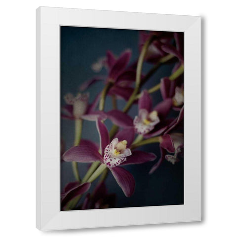 Dark Orchid III White Modern Wood Framed Art Print by Urquhart, Elizabeth