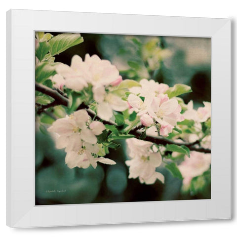 Apple Blossoms I Crop White Modern Wood Framed Art Print by Urquhart, Elizabeth