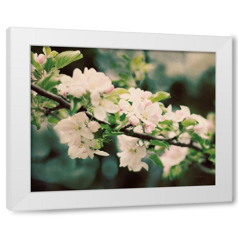 Apple Blossoms I White Modern Wood Framed Art Print by Urquhart, Elizabeth