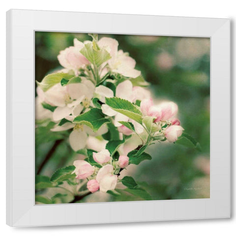 Apple Blossoms II Crop White Modern Wood Framed Art Print by Urquhart, Elizabeth