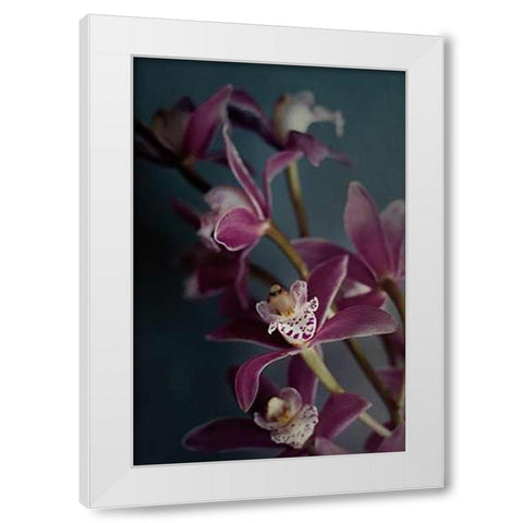 Dark Orchid IV v.2 White Modern Wood Framed Art Print by Urquhart, Elizabeth