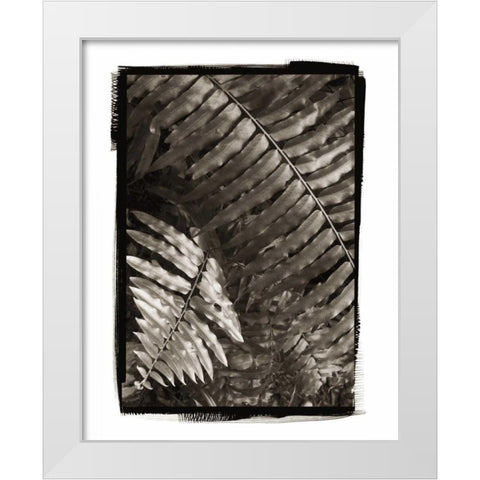 Fern I v2 White Modern Wood Framed Art Print by Van Swearingen, Debra