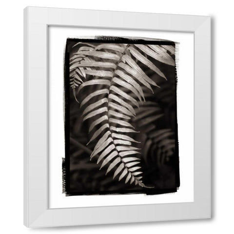 Fern II v2 White Modern Wood Framed Art Print by Van Swearingen, Debra