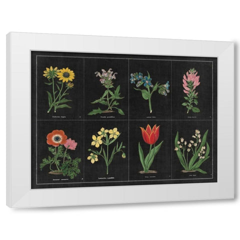 Botanical on Black Chart I White Modern Wood Framed Art Print by Wild Apple Portfolio
