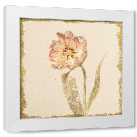 Vintage May Wonder Tulip Crop White Modern Wood Framed Art Print by Blum, Cheri