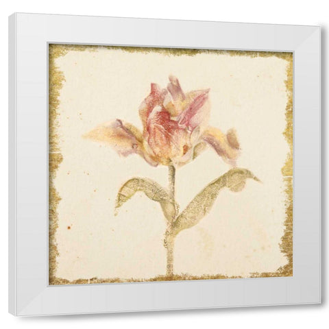 Vintage Zoomer Schoon Tulip Crop White Modern Wood Framed Art Print by Blum, Cheri