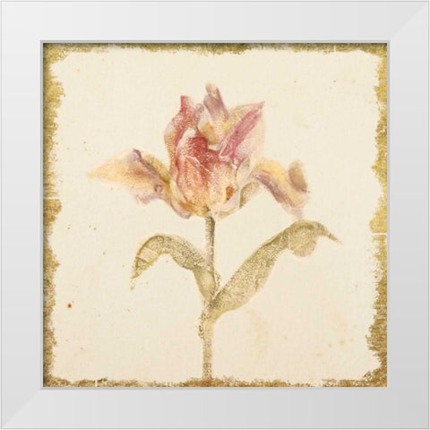 Vintage Zoomer Schoon Tulip Crop White Modern Wood Framed Art Print by Blum, Cheri
