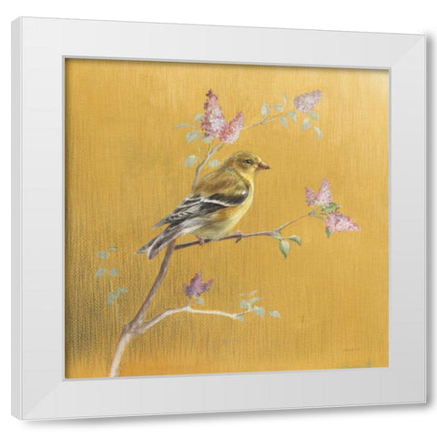 Female Goldfinch on Gold White Modern Wood Framed Art Print by Nai, Danhui