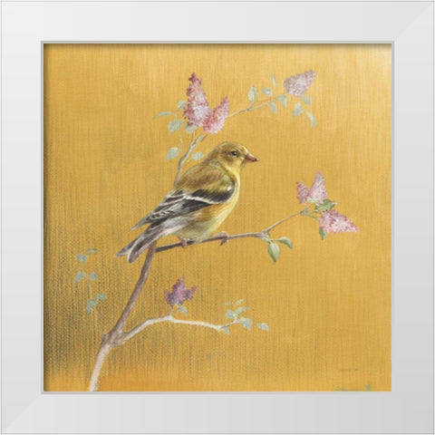 Female Goldfinch on Gold White Modern Wood Framed Art Print by Nai, Danhui