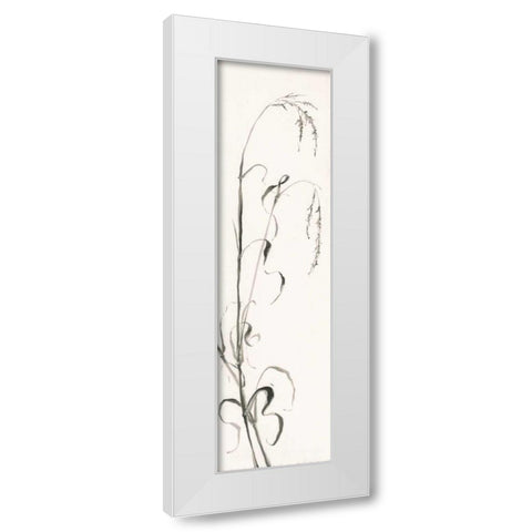 Gray Grasses III White Modern Wood Framed Art Print by Paschke, Chris
