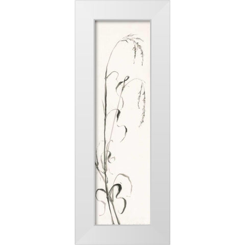 Gray Grasses III White Modern Wood Framed Art Print by Paschke, Chris