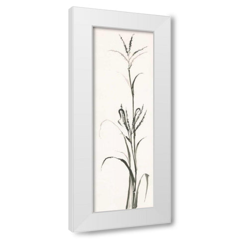 Gray Grasses IV White Modern Wood Framed Art Print by Paschke, Chris