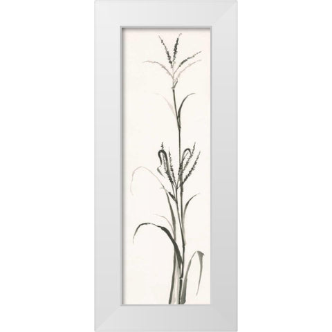 Gray Grasses IV White Modern Wood Framed Art Print by Paschke, Chris
