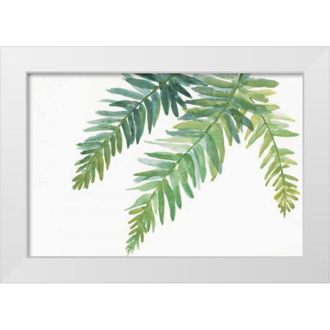 Ferns I White Modern Wood Framed Art Print by Paschke, Chris