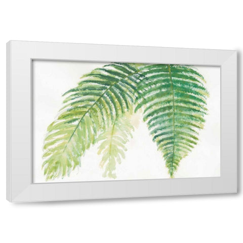 Ferns III White Modern Wood Framed Art Print by Paschke, Chris