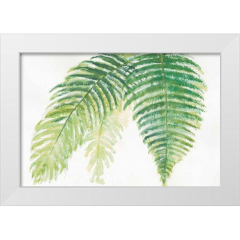 Ferns III White Modern Wood Framed Art Print by Paschke, Chris