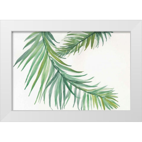 Ferns IV White Modern Wood Framed Art Print by Paschke, Chris