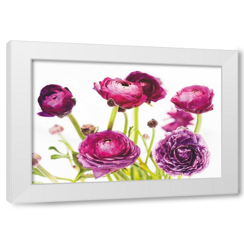 Spring Ranunculus III White Modern Wood Framed Art Print by Marshall, Laura