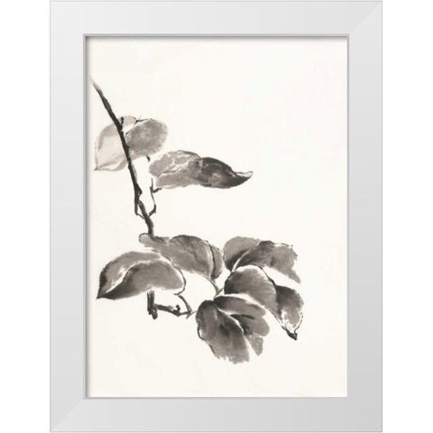 Sumi Kiwi White Modern Wood Framed Art Print by Paschke, Chris