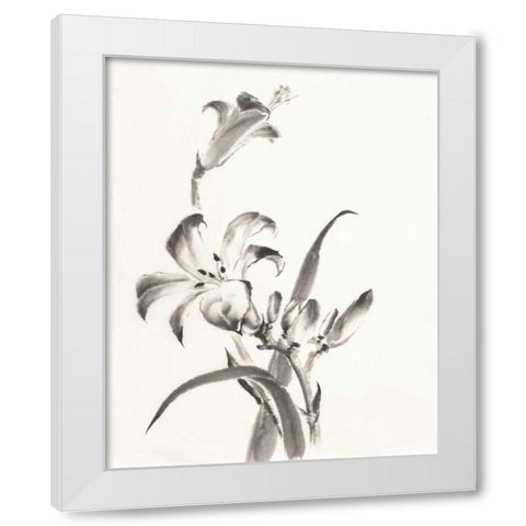 Sumi Daylily II White Modern Wood Framed Art Print by Paschke, Chris