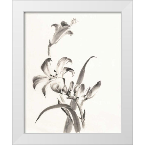 Sumi Daylily II White Modern Wood Framed Art Print by Paschke, Chris