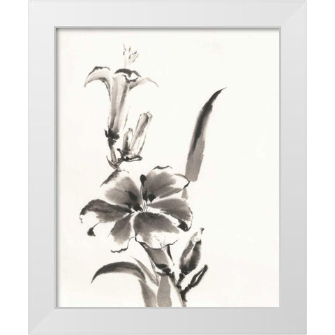 Sumi Daylily III White Modern Wood Framed Art Print by Paschke, Chris