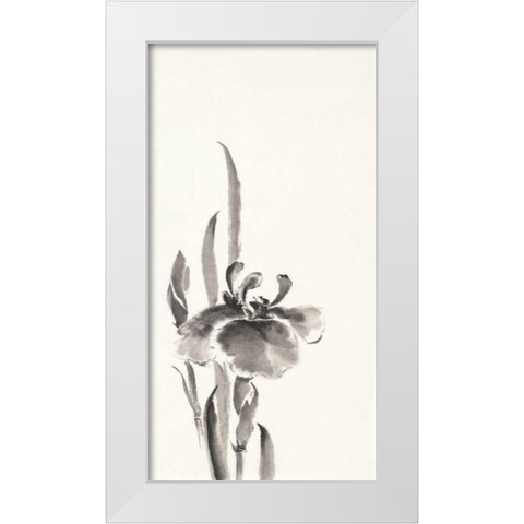 Japanese Iris II White Modern Wood Framed Art Print by Paschke, Chris