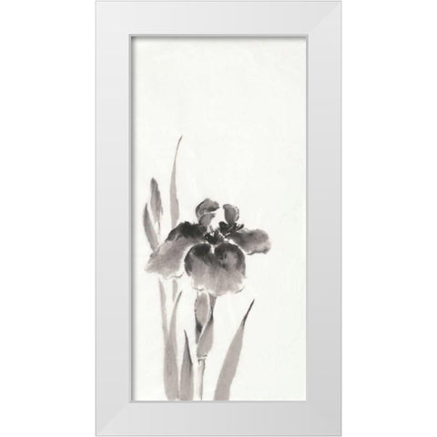 Japanese Iris III White Modern Wood Framed Art Print by Paschke, Chris