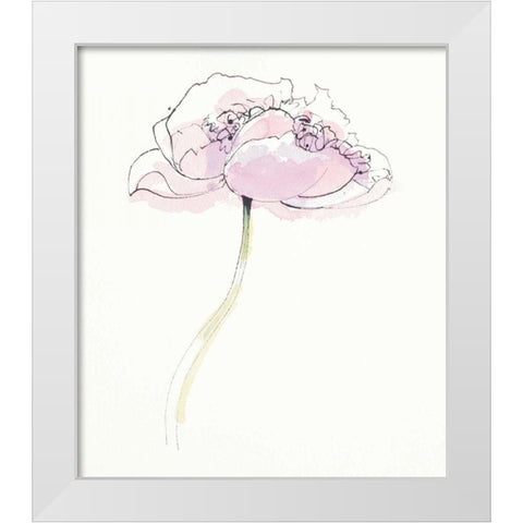 Single Pink Somniferums II on White White Modern Wood Framed Art Print by Novak, Shirley