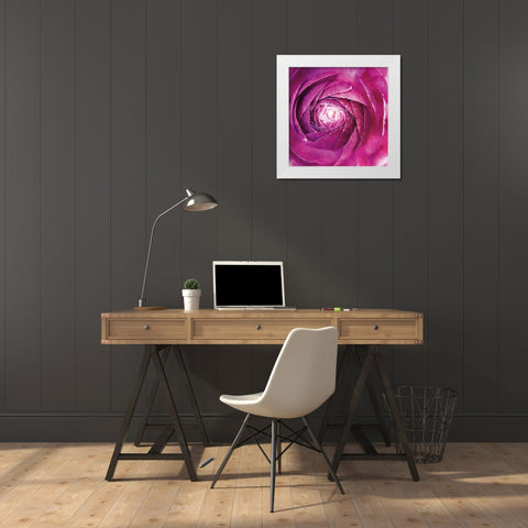 Ranunculus Abstract I Color White Modern Wood Framed Art Print by Marshall, Laura