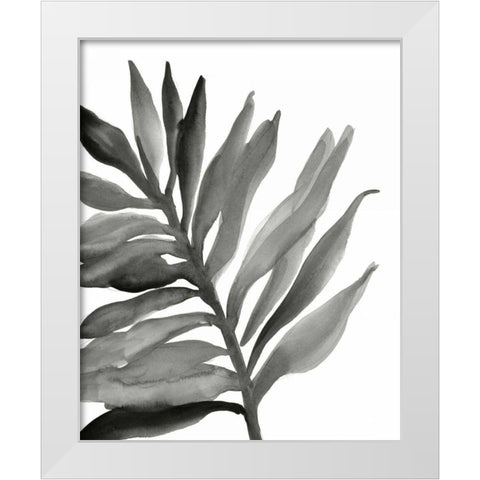 Tropical Palm III BW White Modern Wood Framed Art Print by Paschke, Chris