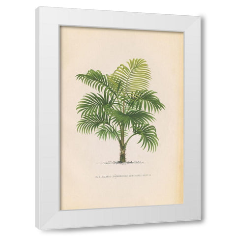 Palmier PL X White Modern Wood Framed Art Print by Wild Apple Portfolio