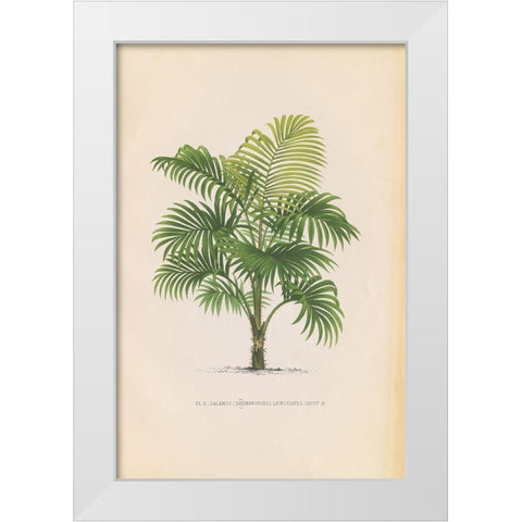 Palmier PL X White Modern Wood Framed Art Print by Wild Apple Portfolio