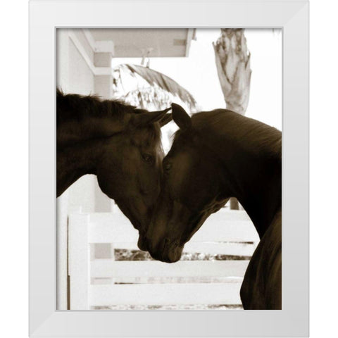 Good Friends White Modern Wood Framed Art Print by Dratfield, Jim